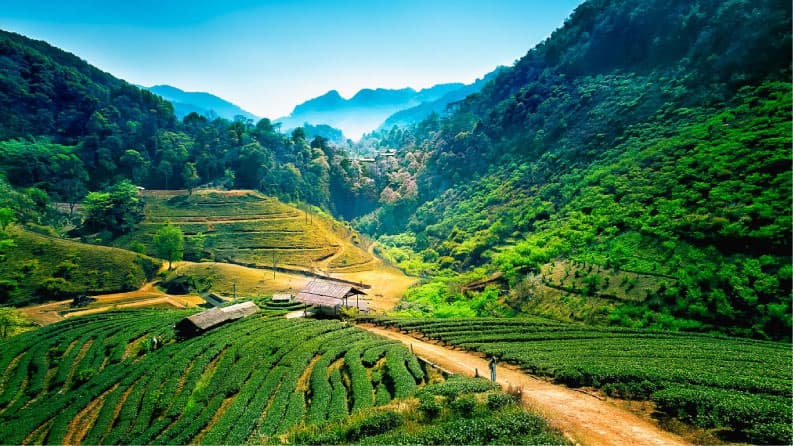 Mountain Serenity in Chiang Mai