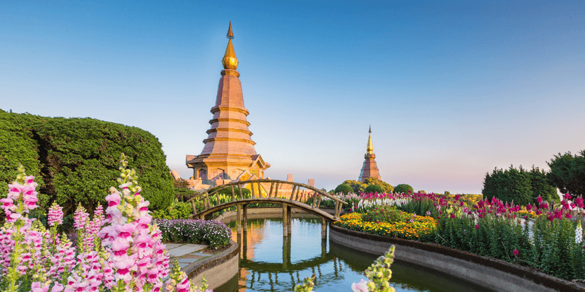 medical tourism, health tourism