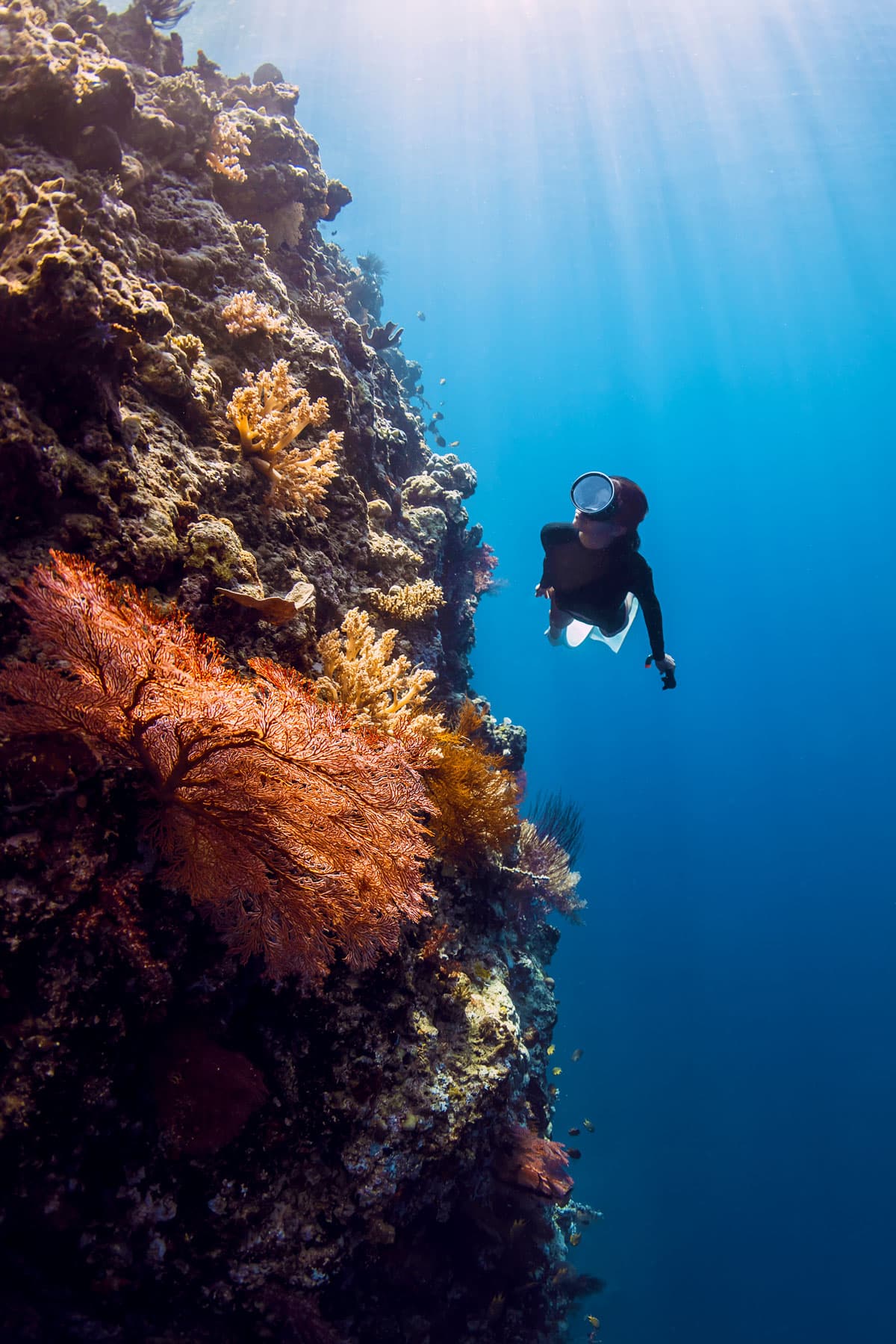 Red Sea Riviera, Hurghada & Sharm El Sheikh